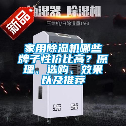 家用除濕機(jī)哪些牌子性價比高？原理、選購、效果以及推薦