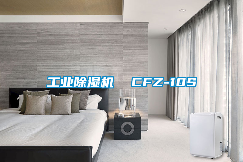 工業除濕機  CFZ-10S