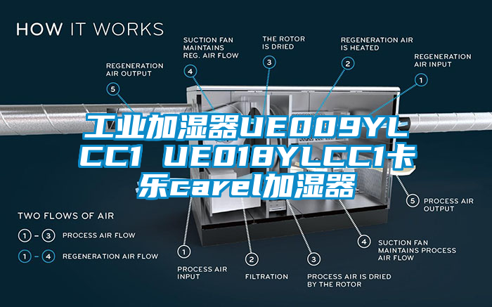 工業加濕器UE009YLCC1 UE018YLCC1卡樂carel加濕器