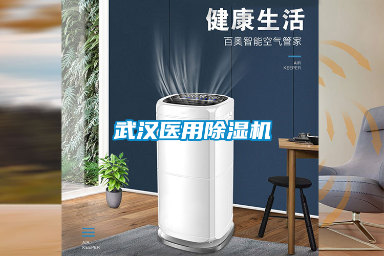 武漢醫用除濕機