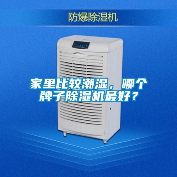 家里比較潮濕，哪個牌子除濕機最好？