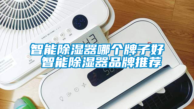 智能除濕器哪個牌子好 智能除濕器品牌推薦