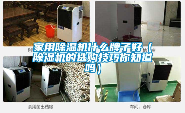 家用除濕機什么牌子好（除濕機的選購技巧你知道嗎）