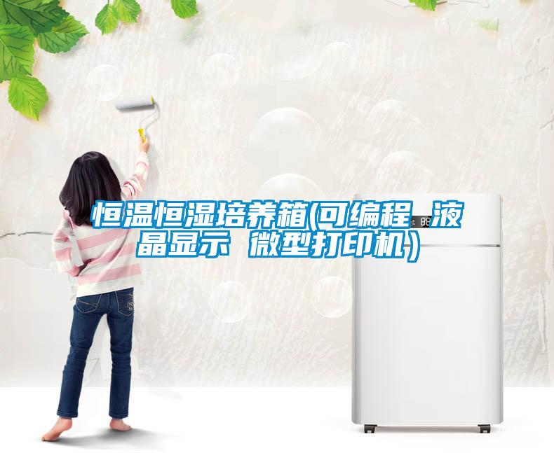 恒溫恒濕培養箱(可編程 液晶顯示 微型打印機）