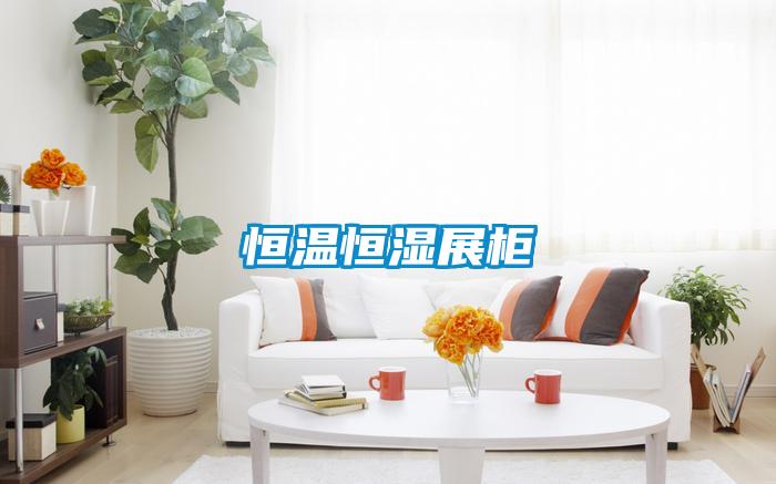 恒溫恒濕展柜
