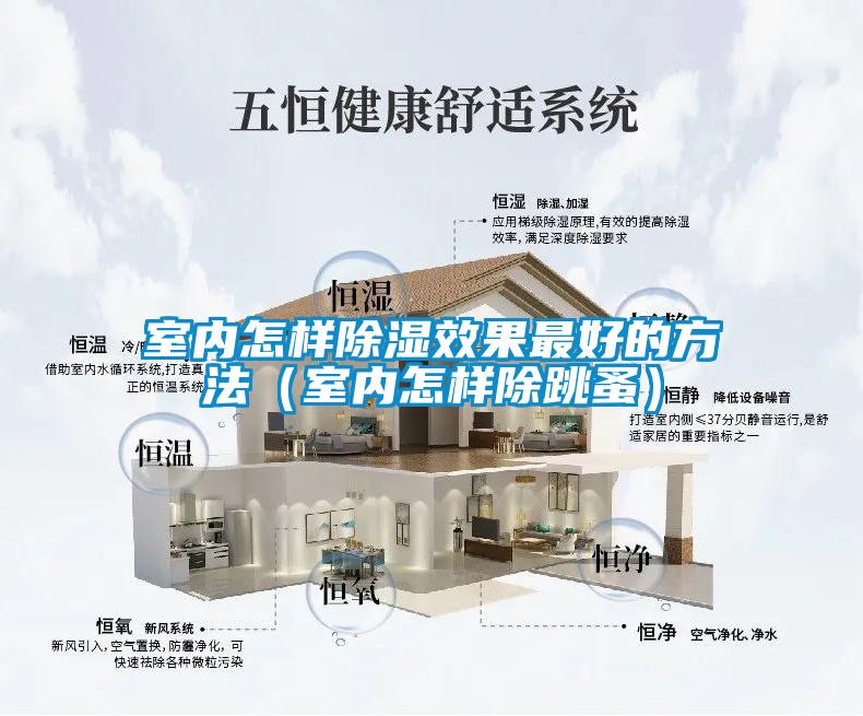 室內(nèi)怎樣除濕效果最好的方法（室內(nèi)怎樣除跳蚤）