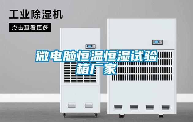 微電腦恒溫恒濕試驗箱廠家