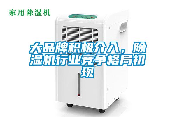 大品牌積極介入，除濕機(jī)行業(yè)競(jìng)爭(zhēng)格局初現(xiàn)