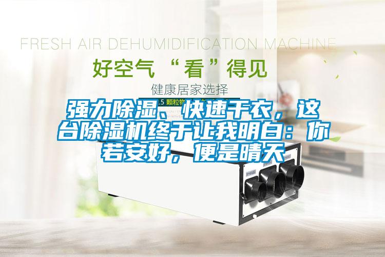 強力除濕、快速干衣，這臺除濕機終于讓我明白：你若安好，便是晴天