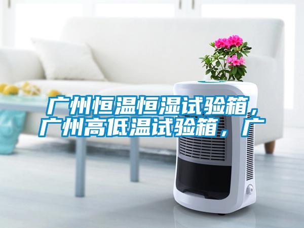 廣州恒溫恒濕試驗箱，廣州高低溫試驗箱，廣