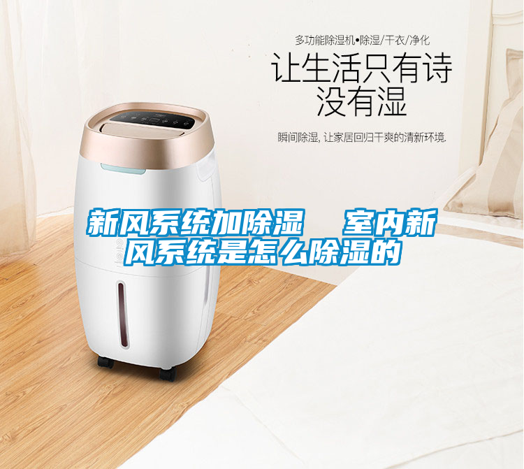 新風系統(tǒng)加除濕  室內(nèi)新風系統(tǒng)是怎么除濕的