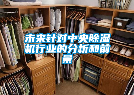 未來針對中央除濕機行業的分析和前景