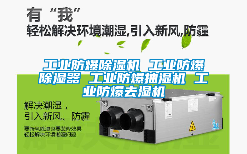 工業防爆除濕機 工業防爆除濕器 工業防爆抽濕機 工業防爆去濕機