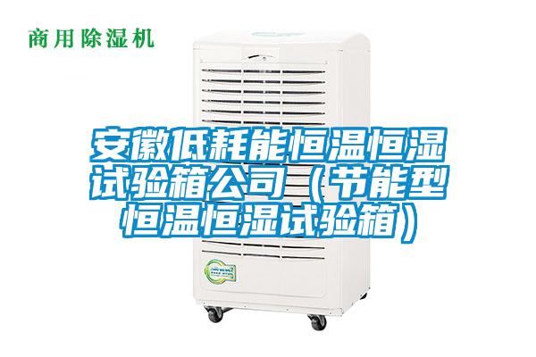 安徽低耗能恒溫恒濕試驗箱公司（節能型恒溫恒濕試驗箱）