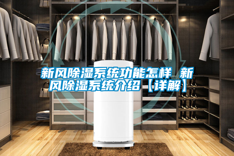 新風除濕系統功能怎樣 新風除濕系統介紹【詳解】