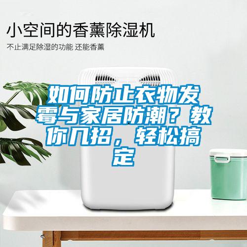 如何防止衣物發(fā)霉與家居防潮？教你幾招，輕松搞定