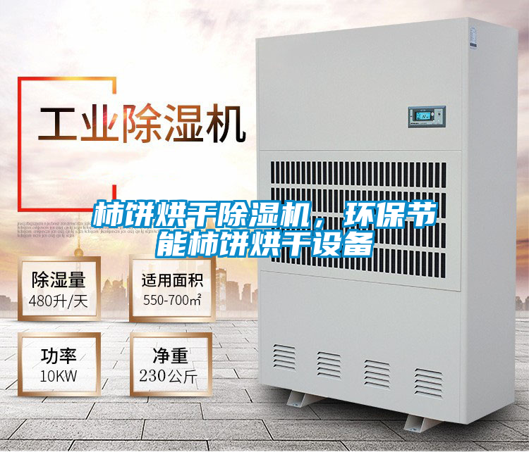 柿餅烘干除濕機，環保節能柿餅烘干設備