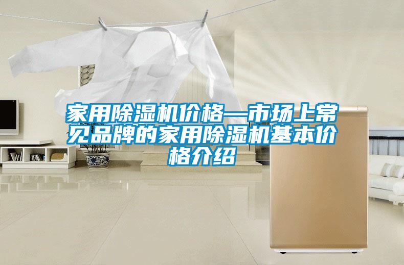 家用除濕機(jī)價(jià)格—市場(chǎng)上常見品牌的家用除濕機(jī)基本價(jià)格介紹