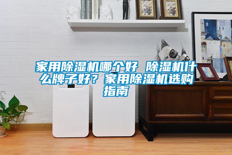 家用除濕機哪個好 除濕機什么牌子好？家用除濕機選購指南