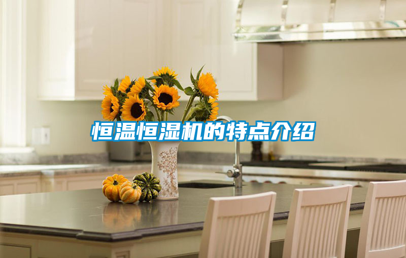 恒溫恒濕機的特點介紹