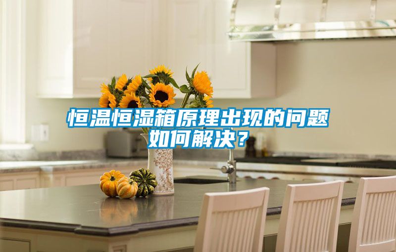 恒溫恒濕箱原理出現的問題如何解決？
