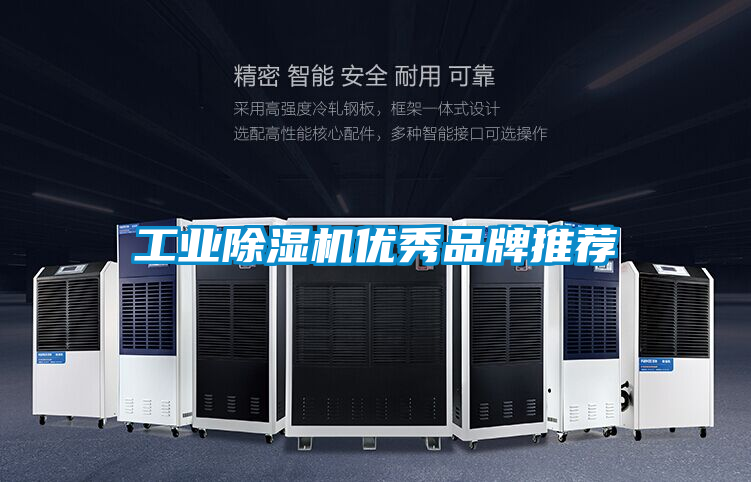 工業(yè)除濕機(jī)優(yōu)秀品牌推薦