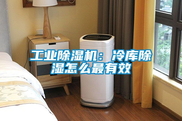工業除濕機：冷庫除濕怎么最有效