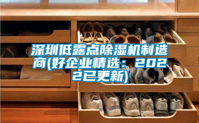 深圳低露點除濕機制造商(好企業精選：2022已更新)