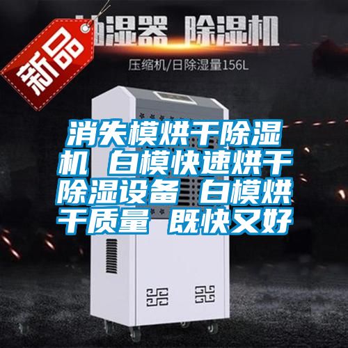 消失模烘干除濕機 白模快速烘干除濕設備 白模烘干質(zhì)量 既快又好