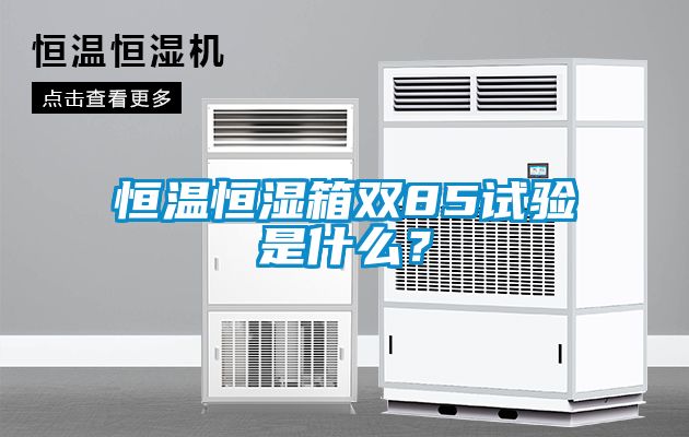 恒溫恒濕箱雙85試驗是什么？