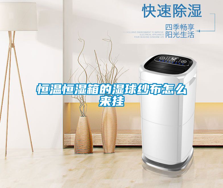 恒溫恒濕箱的濕球紗布怎么來掛