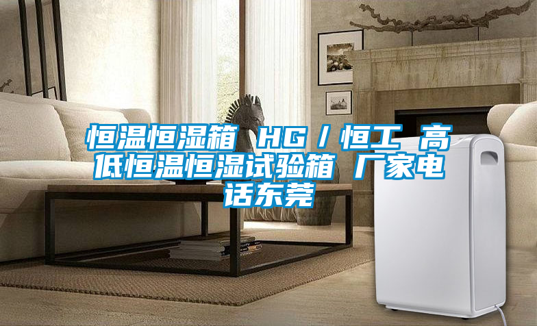 恒溫恒濕箱 HG／恒工 高低恒溫恒濕試驗箱 廠家電話東莞