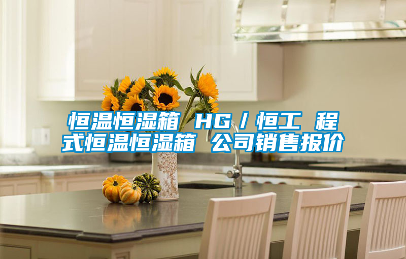 恒溫恒濕箱 HG／恒工 程式恒溫恒濕箱 公司銷售報價