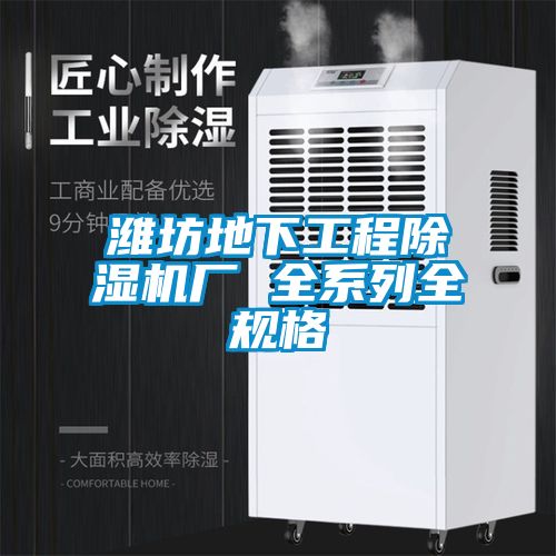 濰坊地下工程除濕機(jī)廠(chǎng) 全系列全規(guī)格