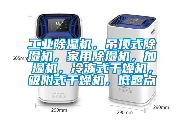 工業除濕機，吊頂式除濕機，家用除濕機，加濕機，冷凍式干燥機，吸附式干燥機，低露點