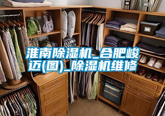 淮南除濕機_合肥峻邁(圖)_除濕機維修