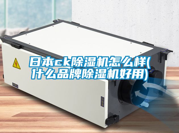 日本ck除濕機怎么樣(什么品牌除濕機好用)