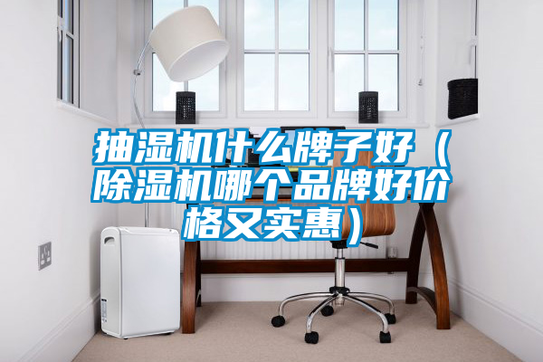 抽濕機什么牌子好（除濕機哪個品牌好價格又實惠）