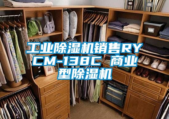 工業除濕機銷售RYCM-138C 商業型除濕機