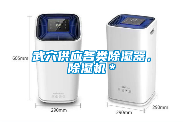 武穴供應各類除濕器，除濕機＊
