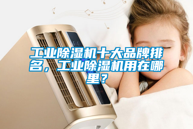 工業(yè)除濕機(jī)十大品牌排名，工業(yè)除濕機(jī)用在哪里？
