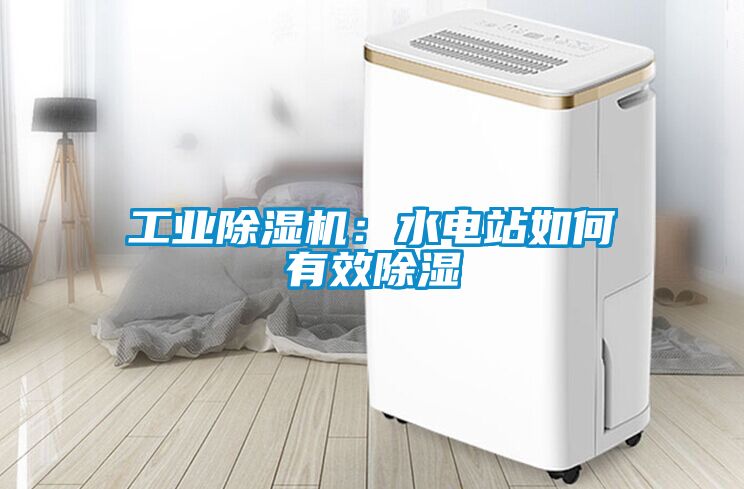 工業除濕機：水電站如何有效除濕