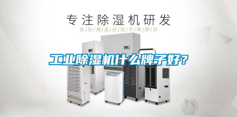 工業除濕機什么牌子好？