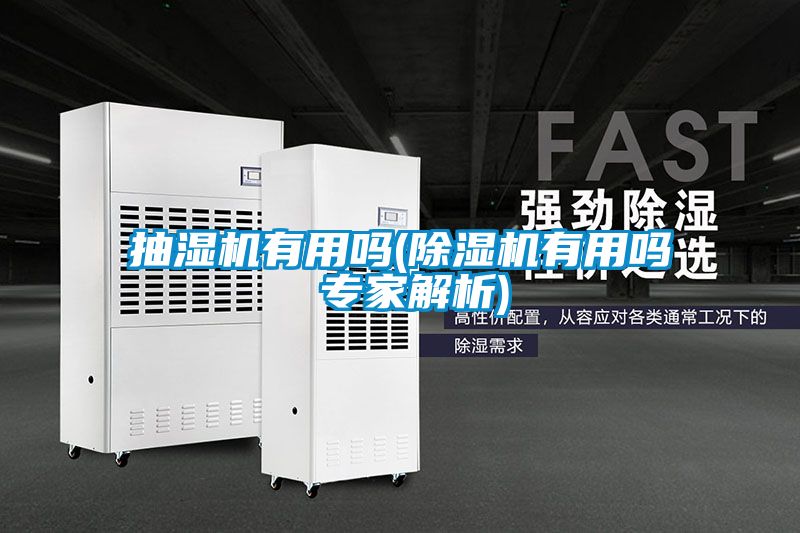 抽濕機有用嗎(除濕機有用嗎 專家解析)