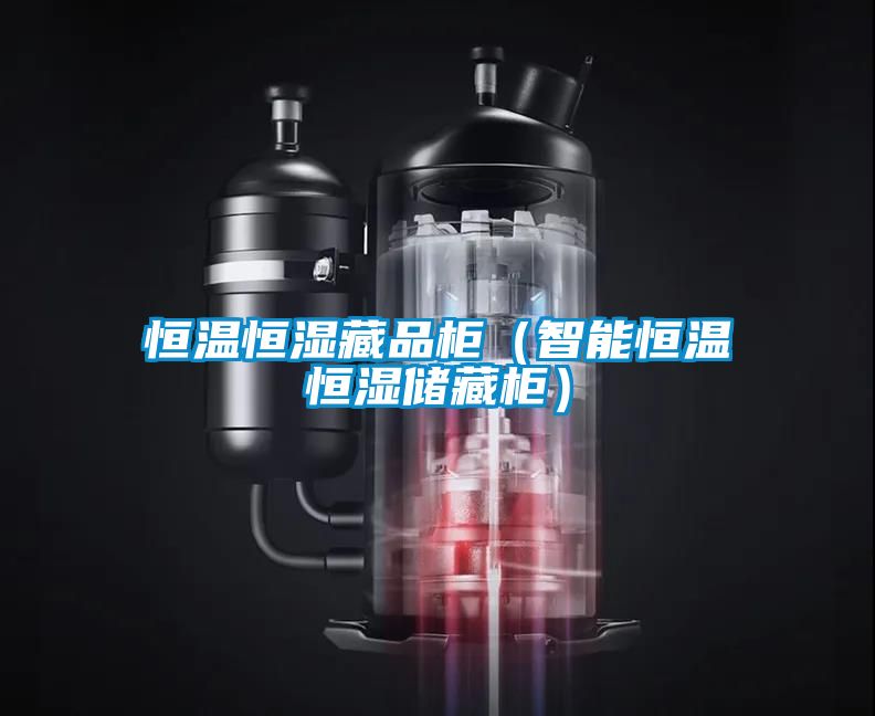 恒溫恒濕藏品柜（智能恒溫恒濕儲藏柜）