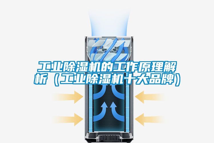 工業除濕機的工作原理解析（工業除濕機十大品牌）