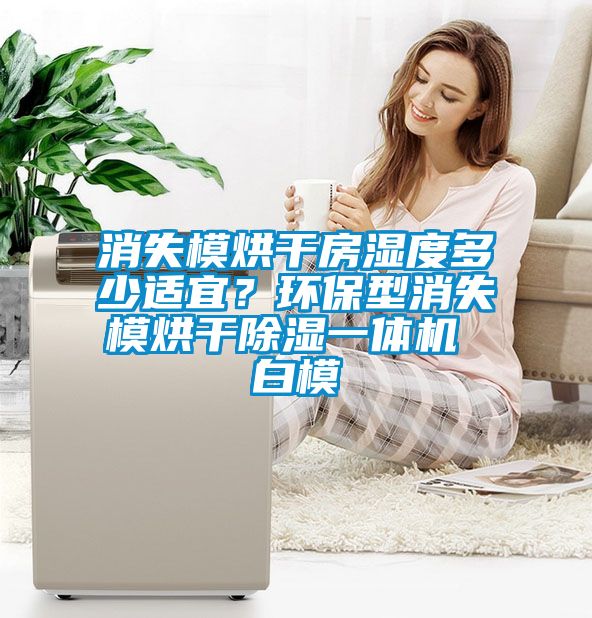 消失模烘干房濕度多少適宜？環保型消失模烘干除濕一體機 白模