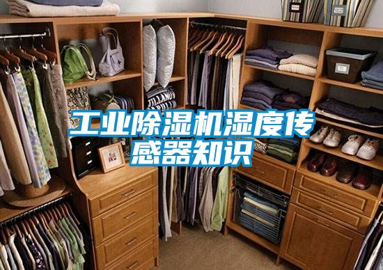 工業除濕機濕度傳感器知識