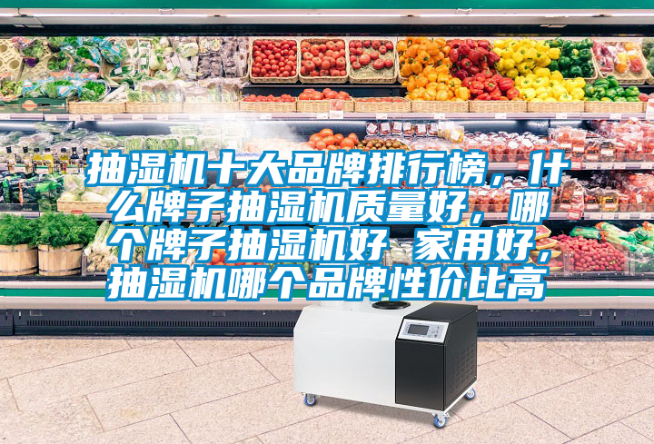 抽濕機十大品牌排行榜，什么牌子抽濕機質量好，哪個牌子抽濕機好 家用好，抽濕機哪個品牌性價比高
