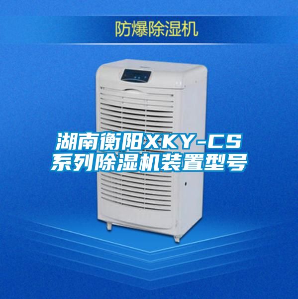 湖南衡陽XKY-CS系列除濕機裝置型號